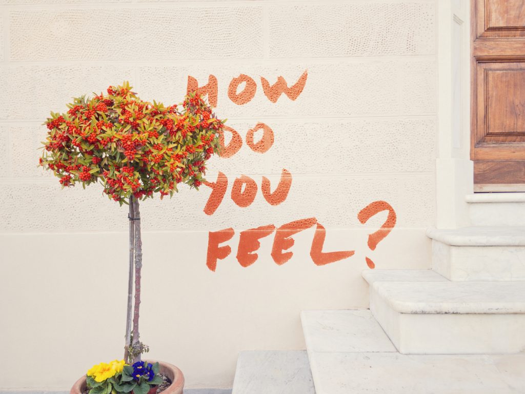 How do you feel